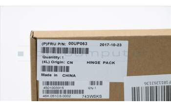 Lenovo 00UP063 Scharnier,L/R,Silver