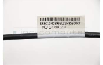 Lenovo CABLE Fru 200mm Rear USB2 LP cable für Lenovo ThinkCentre M800 (10FV/10FW/10FX/10FY)