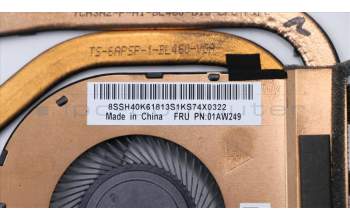 Lenovo 01AW249 Temperaturmodul, mit Lüfter, SWG