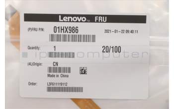 Lenovo 01HX986 Displaykabel RGB Cable,NEC,Amphenol