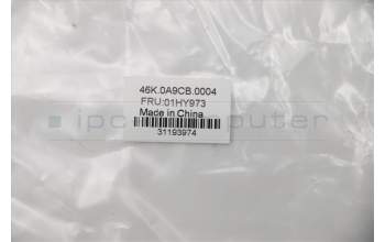 Lenovo 01HY973 Antenne ANT kit,WLAN+WWAN,Normal,JT+WNC