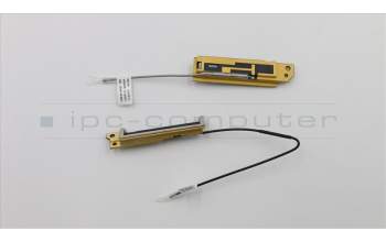 Lenovo 01LV465 Antenne KIT,WLAN,Amphenol