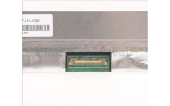 Lenovo 01LW083 DISPLAY FRUDummy14HD TN AG narrow220INX