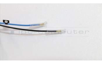 Lenovo 01LW234 Antenne FRU WL+WW Antenne Kit