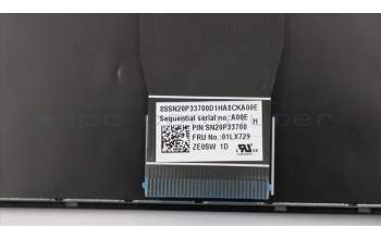 Lenovo 01LX729 Keyboard Internal,USA English