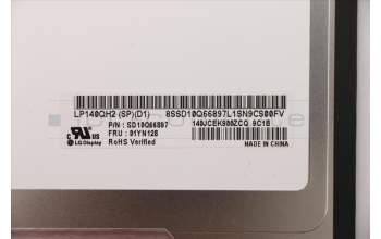 Lenovo 01YN128 DISPLAY LGD 14.0 WQHD IPS AG