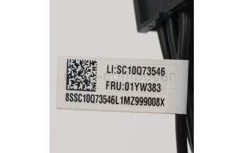 Lenovo 01YW383 CABLE Fru,8pin to dual 6pin 250mm Cable