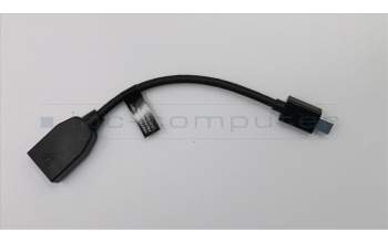 Lenovo CABLE_BO FRU FOR MINIDisplayport TO Displayport CABLE für Lenovo ThinkPad T470p (20J6/20J7)