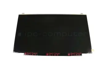 IPS Display FHD matt 60Hz (30-Pin eDP) für Acer Predator Helios 300 (PH317-52)