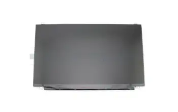 IPS Display FHD matt 60Hz für Lenovo ThinkPad E595 (20NF)