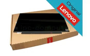 02DA381 Lenovo Original IPS Display FHD matt 60Hz (Höhe 19,5 cm)