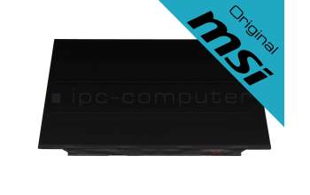 Original MSI IPS Display FHD matt 120Hz für MSI GL72M 7REX/7RDX (MS-1799)