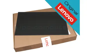 5D10W89583 Lenovo Original TN Display FHD matt 60Hz