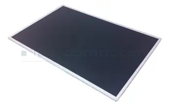 LK.17105.008 Acer Display WXGA+ matt