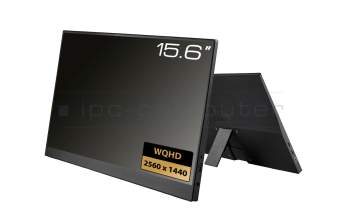 Portabler Monitor 15.6 WQHD USB-C/HDMI für Asus M3700WYAT