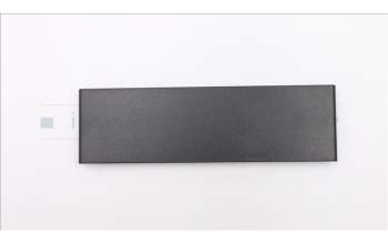 Lenovo 45K6263 FRU.ODD blank cover assembly,Melbourne