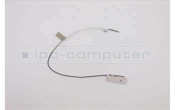 Lenovo 5A30W89186 Antenne Fru, 17L 350mm Front Antenne