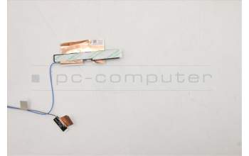 Lenovo 5A30Z88138 Antenne FRU P15 ACCY KITS WW+WL Antenne