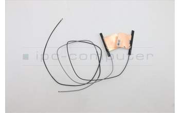 Lenovo 5A30Z88155 Antenne FRU Antenne AL WLAN ICT