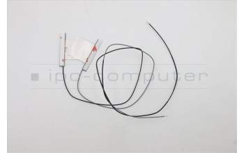 Lenovo 5A30Z88155 Antenne FRU Antenne AL WLAN ICT
