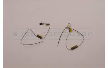 Lenovo 5A30Z88184 Antenne FRU SPEED WLAN T14G3
