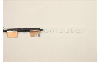 Lenovo 5A30Z88190 Antenne FRU Antenne Mercury 3.0 AMD