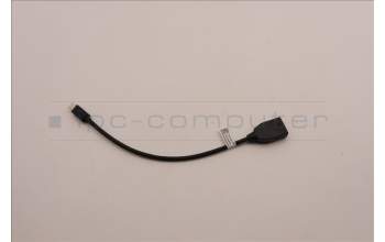 Lenovo 5C10U58397 KabelFru265mm minDisplayport to Displayport cable_TCO8.0