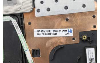 Lenovo 5CB0S16591 Tastatur inkl. Topcase ASM_US L 81LH GT_BK