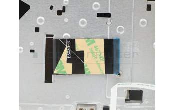 Lenovo 5CB0S17551 Tastatur inkl. Topcase C81N6 PLGRY NFPNBL SPN