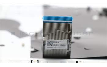 Lenovo 5CB0S91802 Tastatur inkl. Topcase L 81LB WH W/KB BL US