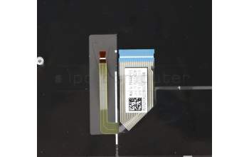 Lenovo 5CB0U44246 Tastatur inkl. Topcase ASM_USA L 81Q9_IG