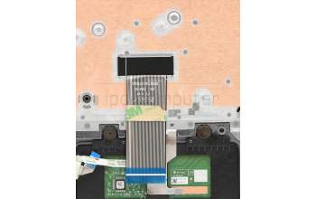 Lenovo 5CB0W43312 Tastatur inkl. Topcase ASM_US INTE L81VDIMRGRD