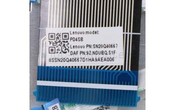 Lenovo 5CB0W43777 Tastatur inkl. Topcase ASM_SA Q 81UE