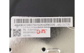 Lenovo 5CB0Y88026 Tastatur inkl. Topcase ASM_USA W 81X3 PG