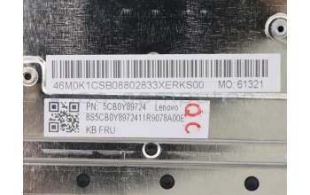 Lenovo 5CB0Y89724 Tastatur inkl. Topcase ASM_GR BL FP W81X3PG
