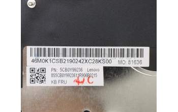 Lenovo 5CB0Y99236 Tastatur inkl. Topcase ASM_HB BL FP W81X3GY