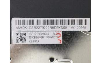 Lenovo 5CB0Y99244 Tastatur inkl. Topcase ASM_CZ-SK BL FP W81X3GY