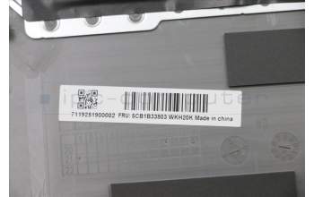 Lenovo 5CB1B33803 Tastatur inkl. Topcase ASM_CZE/SLK C20VD HDMGBL