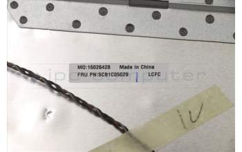 Lenovo 5CB1C05029 Tastatur inkl. Topcase ASM_BE L81X7 NFPPGYDIS