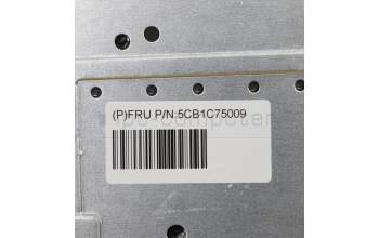 Lenovo 5CB1C75009 Tastatur inkl. Topcase ASM_HBW H82L5STOUMA