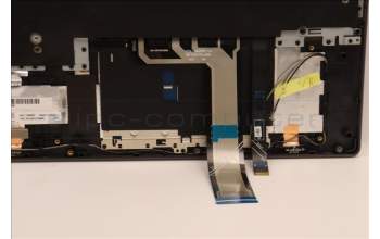Lenovo 5CB1H23685 Tastatur inkl. Topcase ASM_KOR L82RC STGY RGB