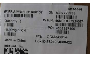 Lenovo 5CB1K60137 Tastatur inkl. Topcase ASM_BUL W 82XY AB