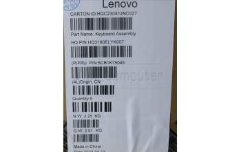 Lenovo 5CB1K75045 Tastatur inkl. Topcase deutsch_H 82WV NFPSTGY