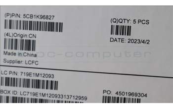 Lenovo 5CB1K96827 C-Cover with keyboard, French, Arctic Grey, Non-Backlight, US