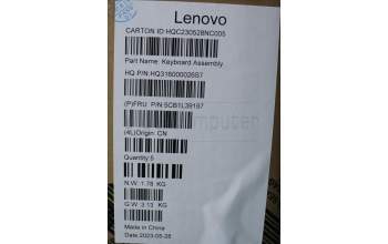 Lenovo 5CB1L39197 C-Abdeckung mit Tastatur, Französisch, arktisgrau, Ohne_Fingerabdruckscanner