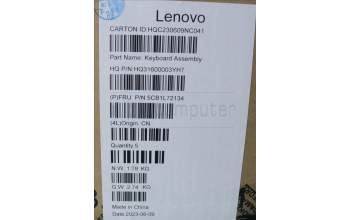 Lenovo 5CB1L72134 C-Cover with keyboard, US English Euro, Arctic Grey, US