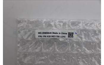 Lenovo 5CB1M21755 Cover MTS40, Hinge CAP, BL_ASSY