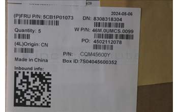 Lenovo 5CB1P01073 C-Cover with keyboard, English, Arctic Grey, US