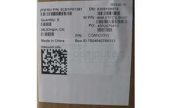 Lenovo 5CB1P01381 Tastatur inkl. Topcase ASM_SLV W21KH AGBL H