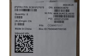 Lenovo 5CB1P27075 C-Cover with keyboard,Ukraine,Arctic Grey,Backlight